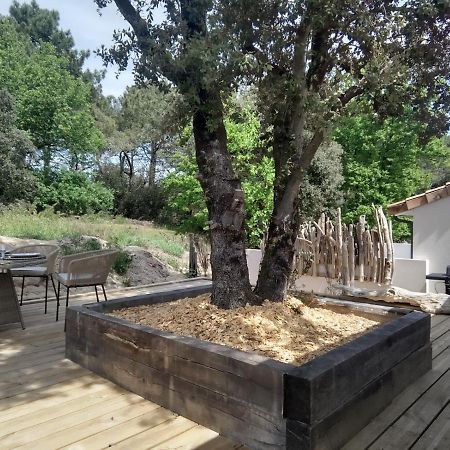 Villa Bois Flottes لي فيردون سور ميه المظهر الخارجي الصورة