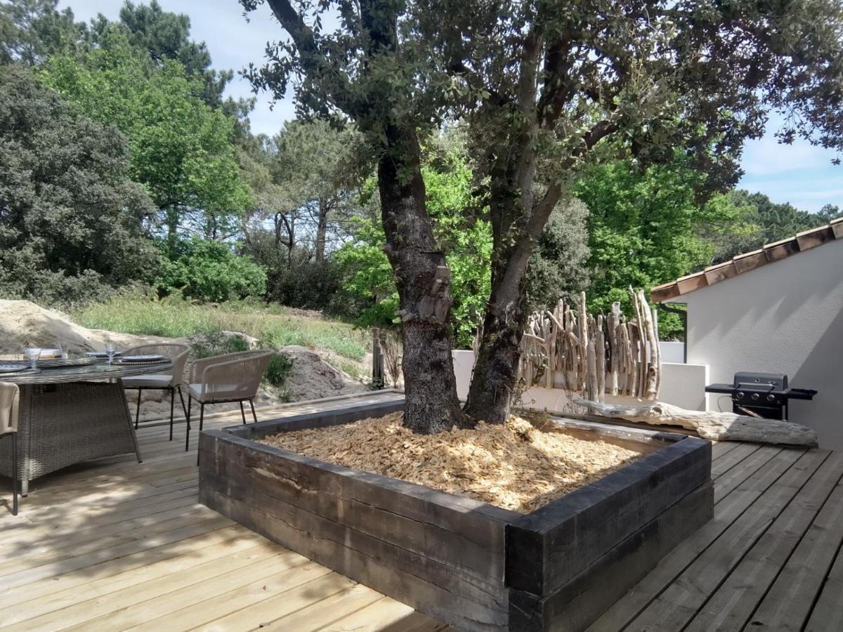 Villa Bois Flottes لي فيردون سور ميه المظهر الخارجي الصورة